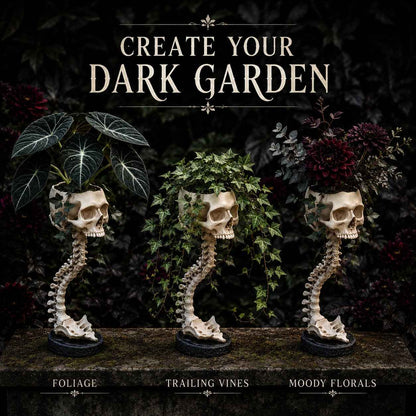 Outdoor Skull Planter Bold Decor for Plant Lovers for Garden Display
