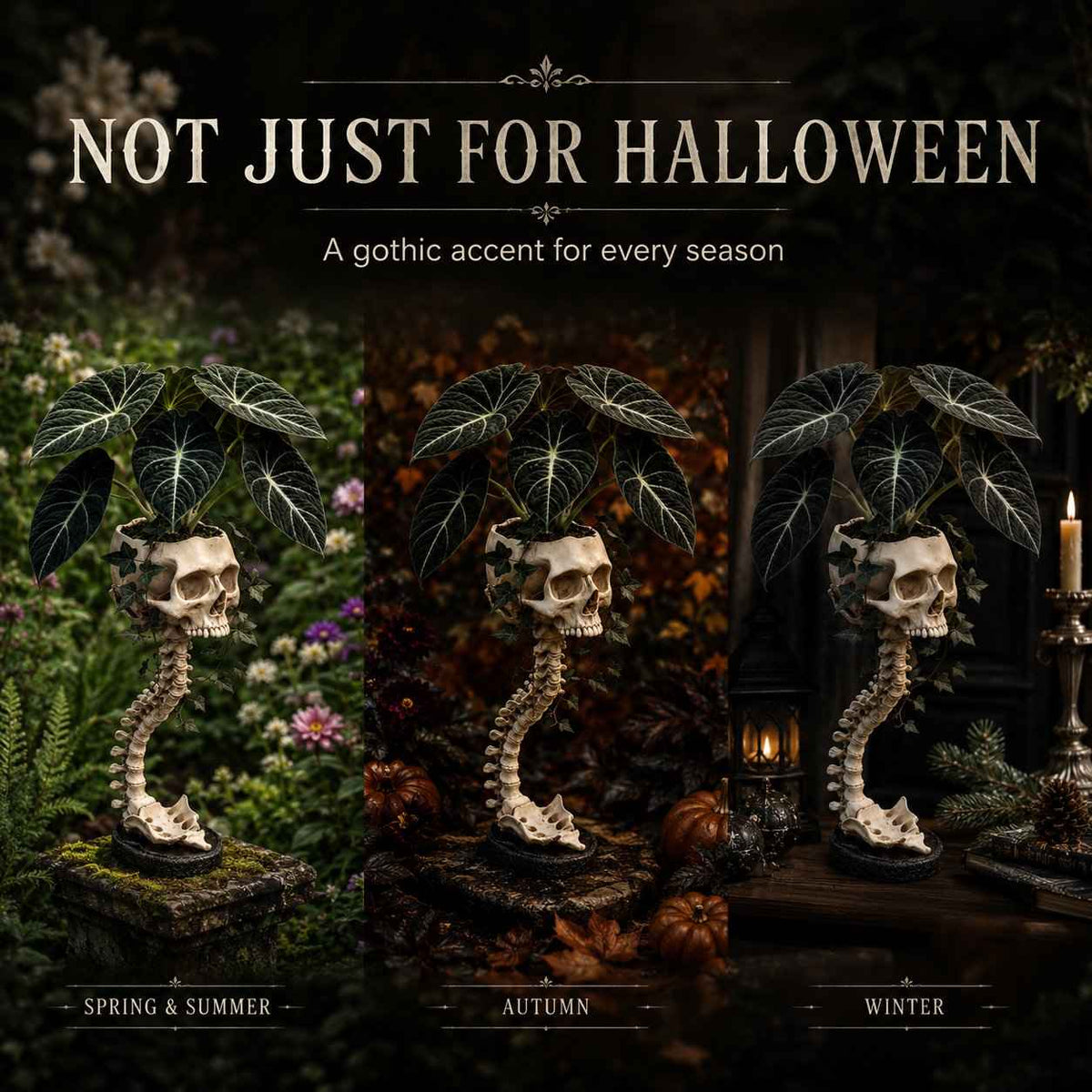 Outdoor Skull Planter Bold Decor for Plant Lovers for Garden Display