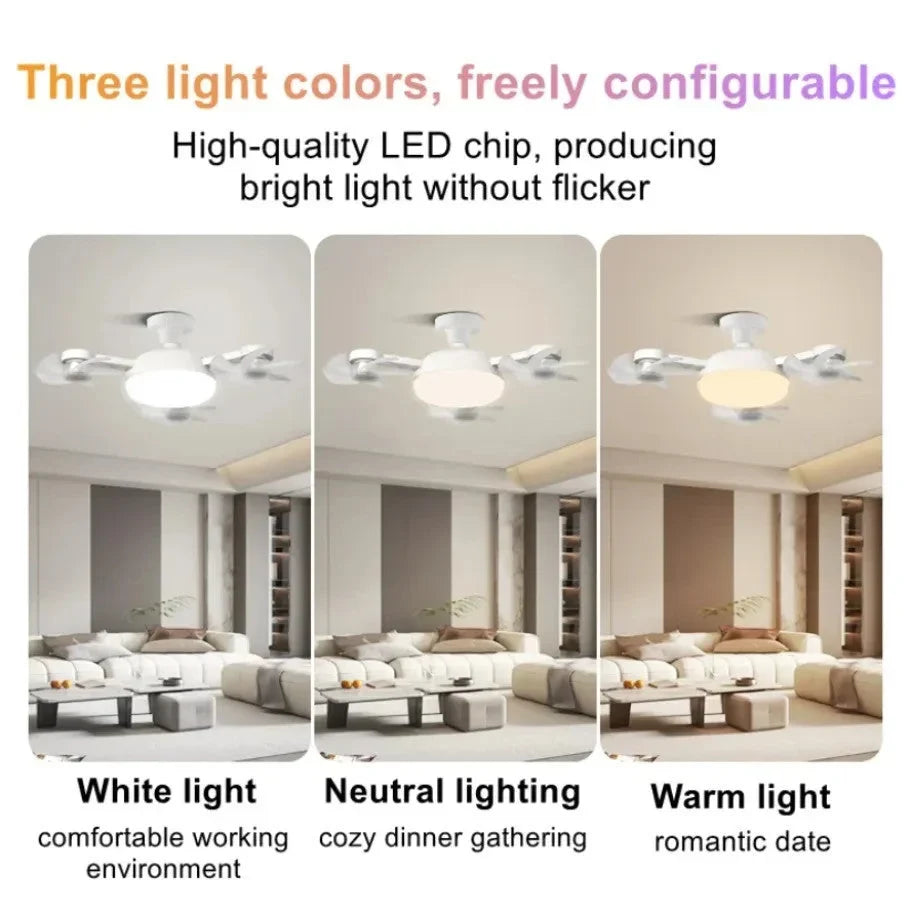 Decorative 2-in-1 E27 Ceiling Fan Light with Remote
