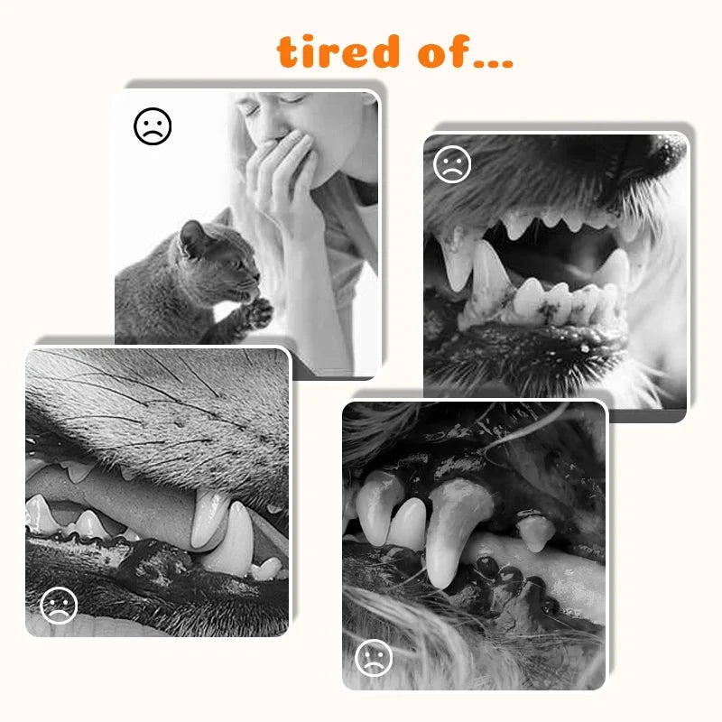 Vehicle-Ready Pet Dental Care – Remove Tartar & Freshen