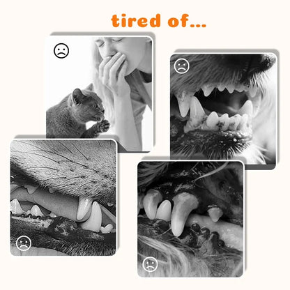 Vehicle-Ready Pet Dental Care – Remove Tartar & Freshen