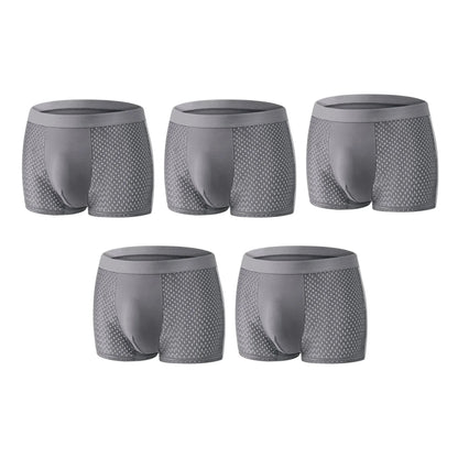 Men’s Leakproof Ice-Silk Mesh Boxer Briefs