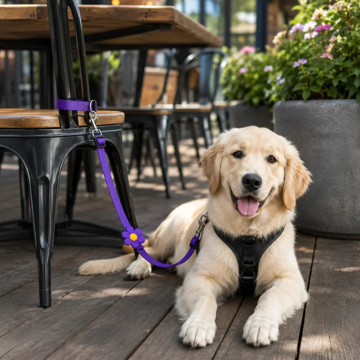 Vehicle-Ready 2-in-1 Dog Car Seat Belt & Walking Leash for Garage Use