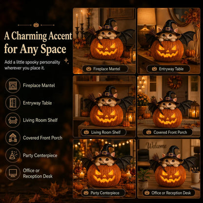 Decorative Summerween Lighted Witch Cat Pumpkin Decor with Flickering