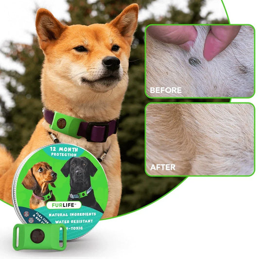 Purpose-Built 12 Months Flea and Tick for Everyday Use
