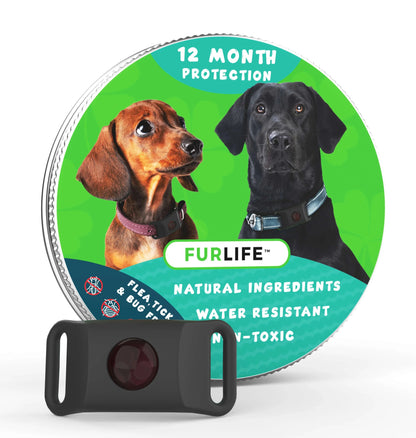 Purpose-Built 12 Months Flea and Tick for Everyday Use
