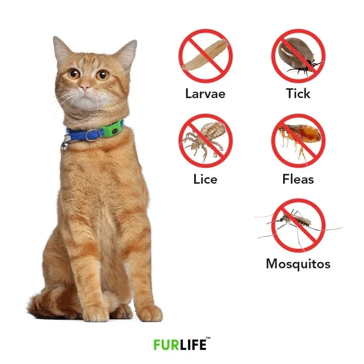 Purpose-Built 12 Months Flea and Tick for Everyday Use