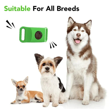 Purpose-Built 12 Months Flea and Tick for Everyday Use