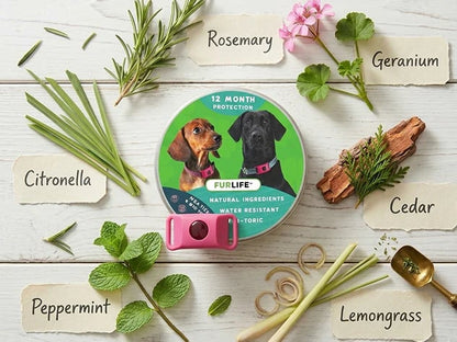 Purpose-Built 12 Months Flea and Tick for Everyday Use