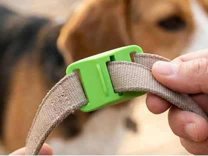 Purpose-Built 12 Months Flea and Tick for Everyday Use