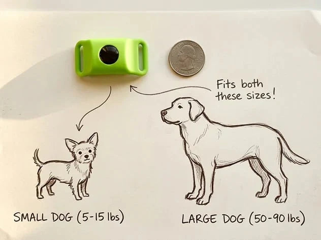 Purpose-Built 12 Months Flea and Tick for Everyday Use