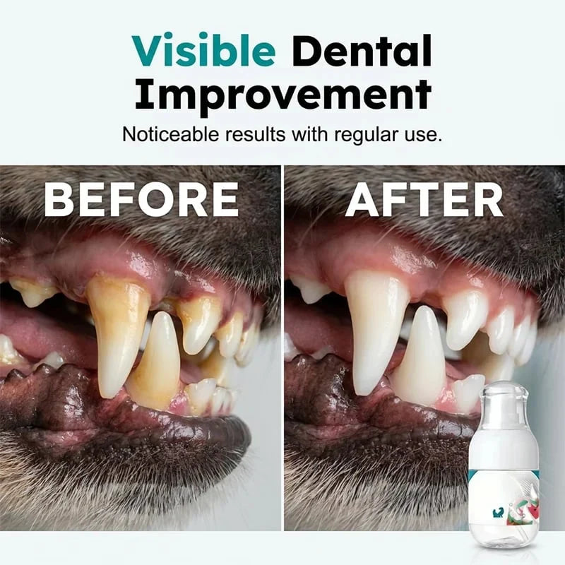 Vehicle-Ready No-Brush Pet Dental Care Liquid– Pet Dental Care Made