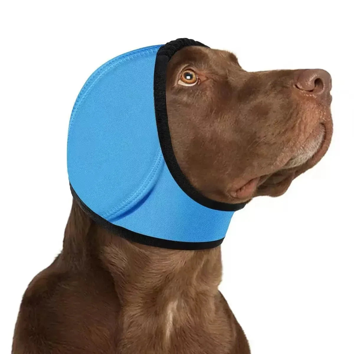 Comfort-Focused Dog Calming Hoodie Ear – Swim Cap for Everyday Wear