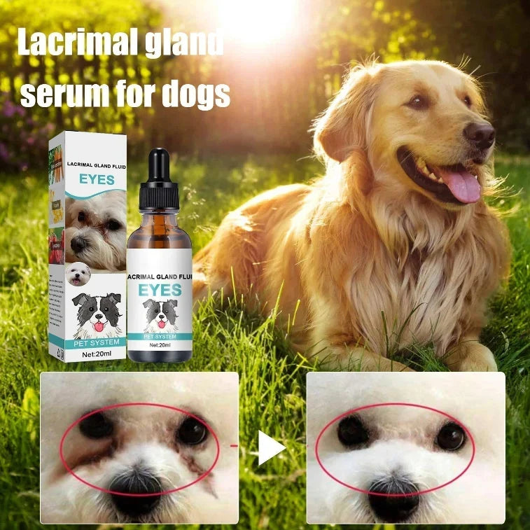 Easy-Care Pet Eye Cleaner & Drops – Gentle pH‑balanced formula, safe