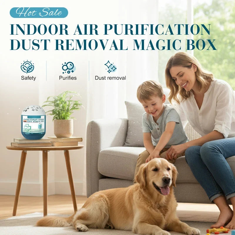 Indoor Air-Purification Dust Collection Box for Everyday Rooms