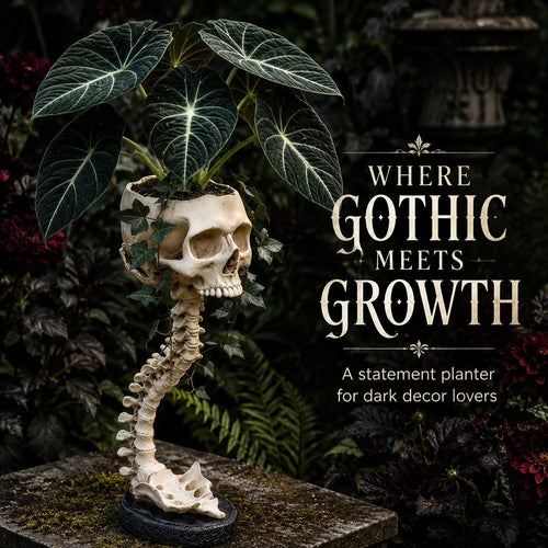Purpose-Built Sculptured Skull Flowerpot for Everyday Use