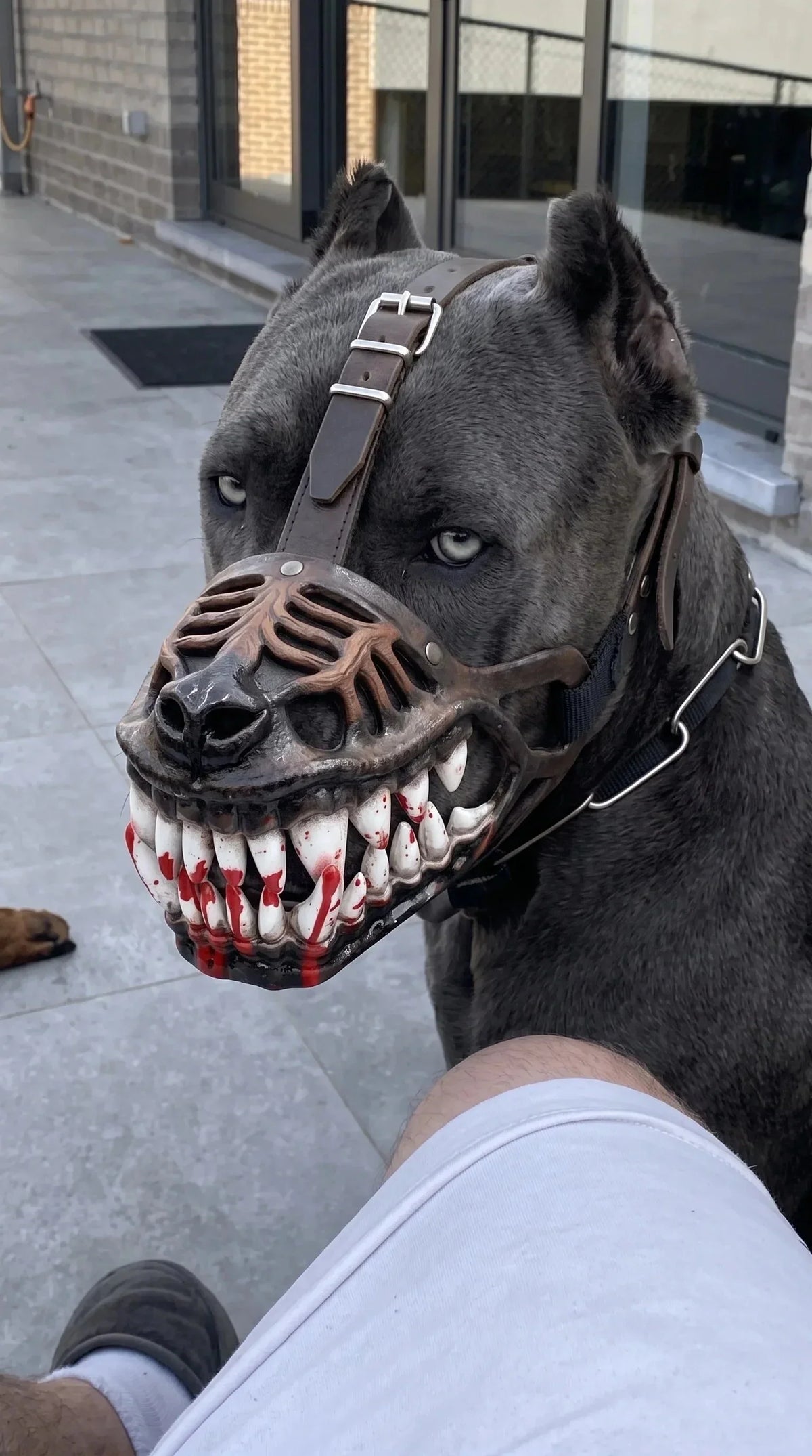 Hell Hound Monster Muzzle Costume Accessory