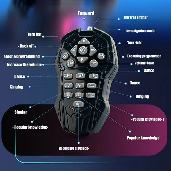 Hands-On Next-Gen Humanoid AI – Interactive Control for Creative Play