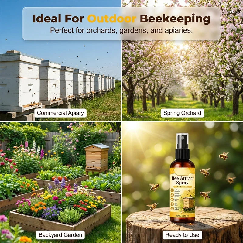 Purpose-Built Summer Natural Outdoor Bee Attractant