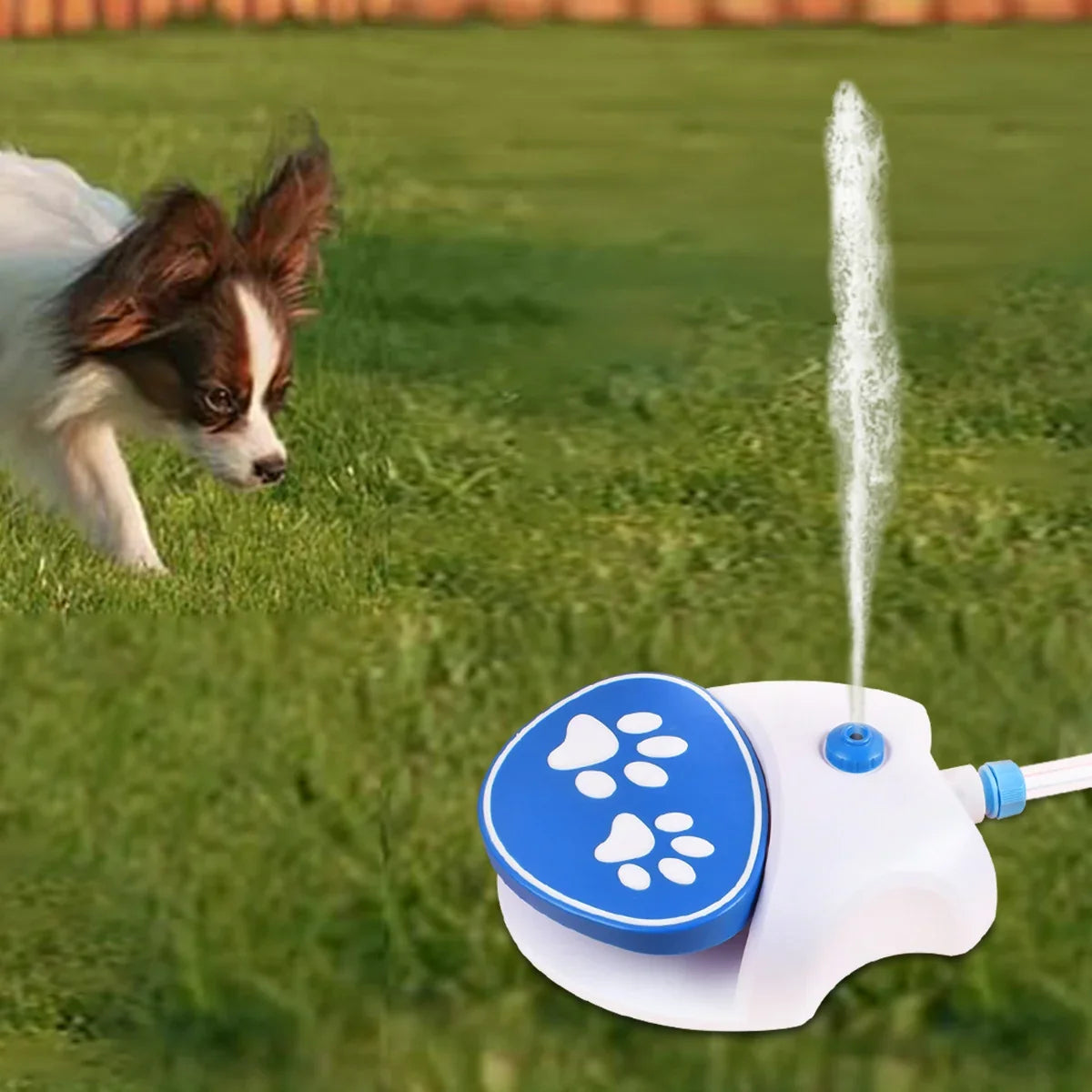 Foot-Activated Outdoor Pet Water Fountain with Hose Connection