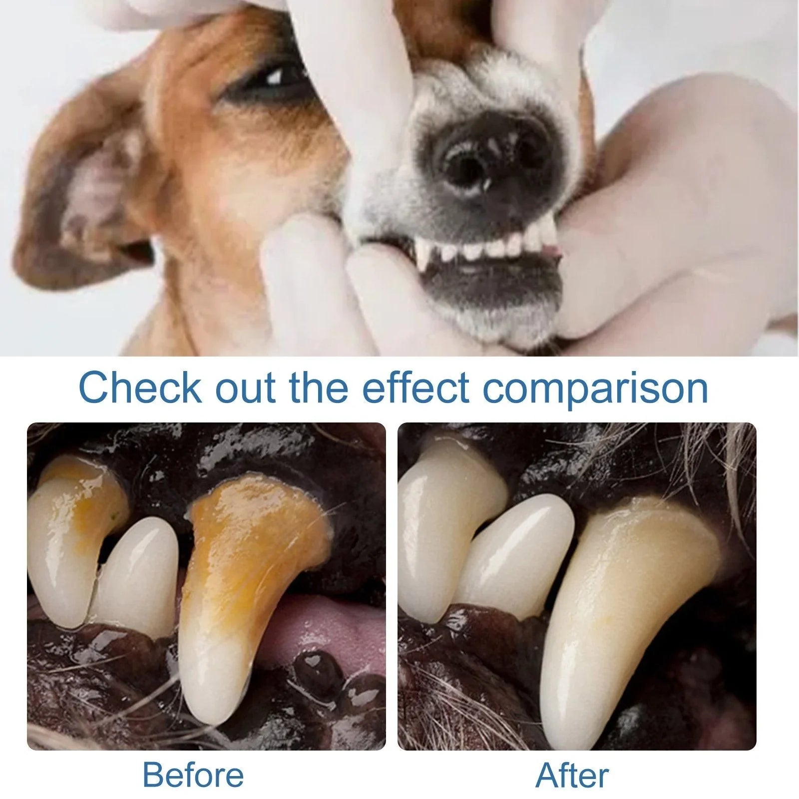 Pet-Friendly Foam for removing tartar from pet teeth – Fresh breath &