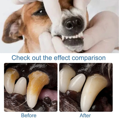 Pet-Friendly Foam for removing tartar from pet teeth – Fresh breath &