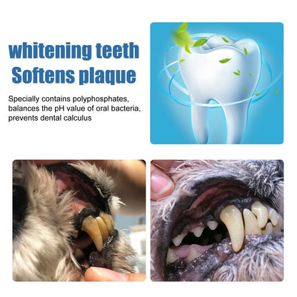 Pet-Friendly Foam for removing tartar from pet teeth – Fresh breath &