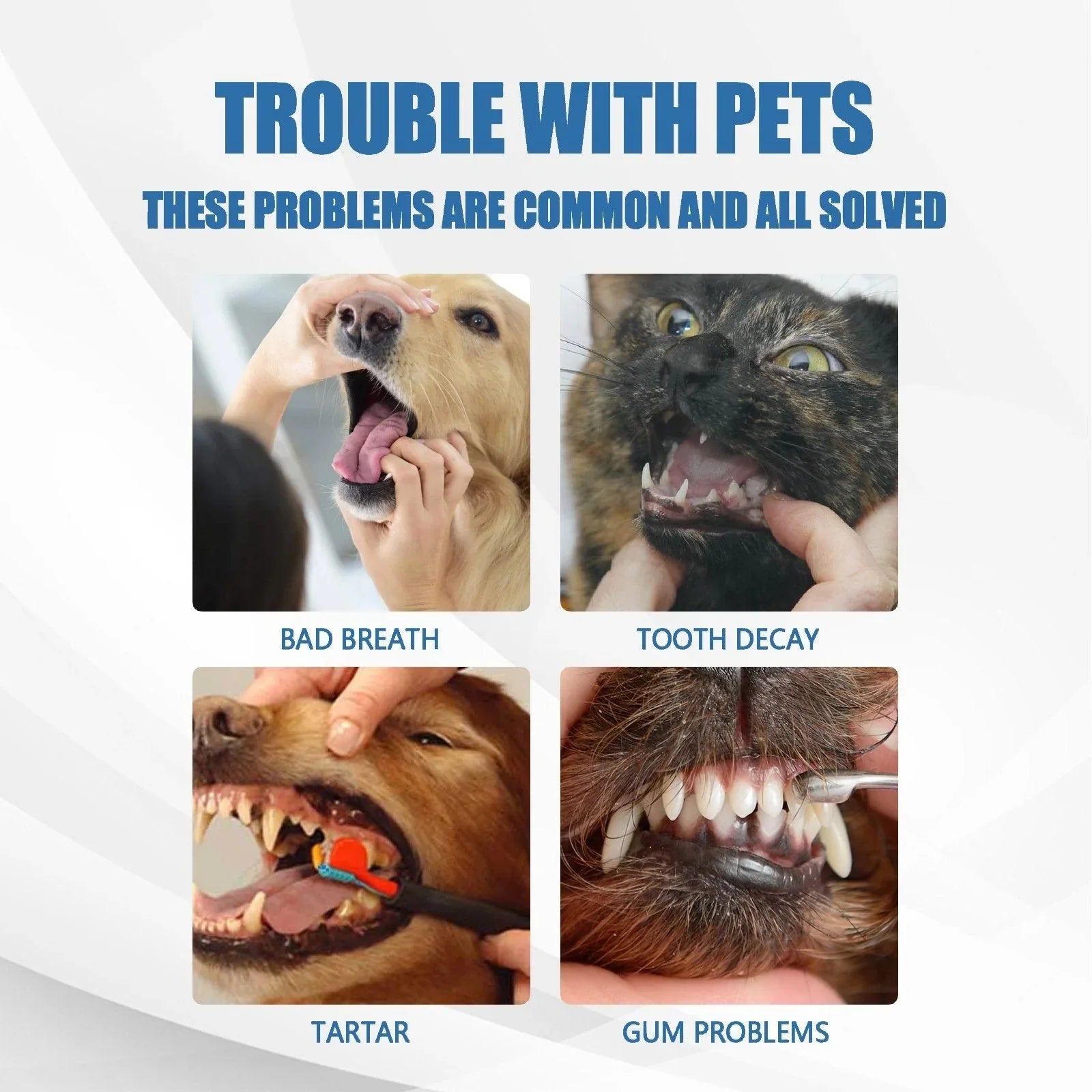 Pet-Friendly Foam for removing tartar from pet teeth – Fresh breath &