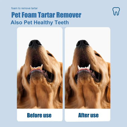 Pet-Friendly Foam for removing tartar from pet teeth – Fresh breath &