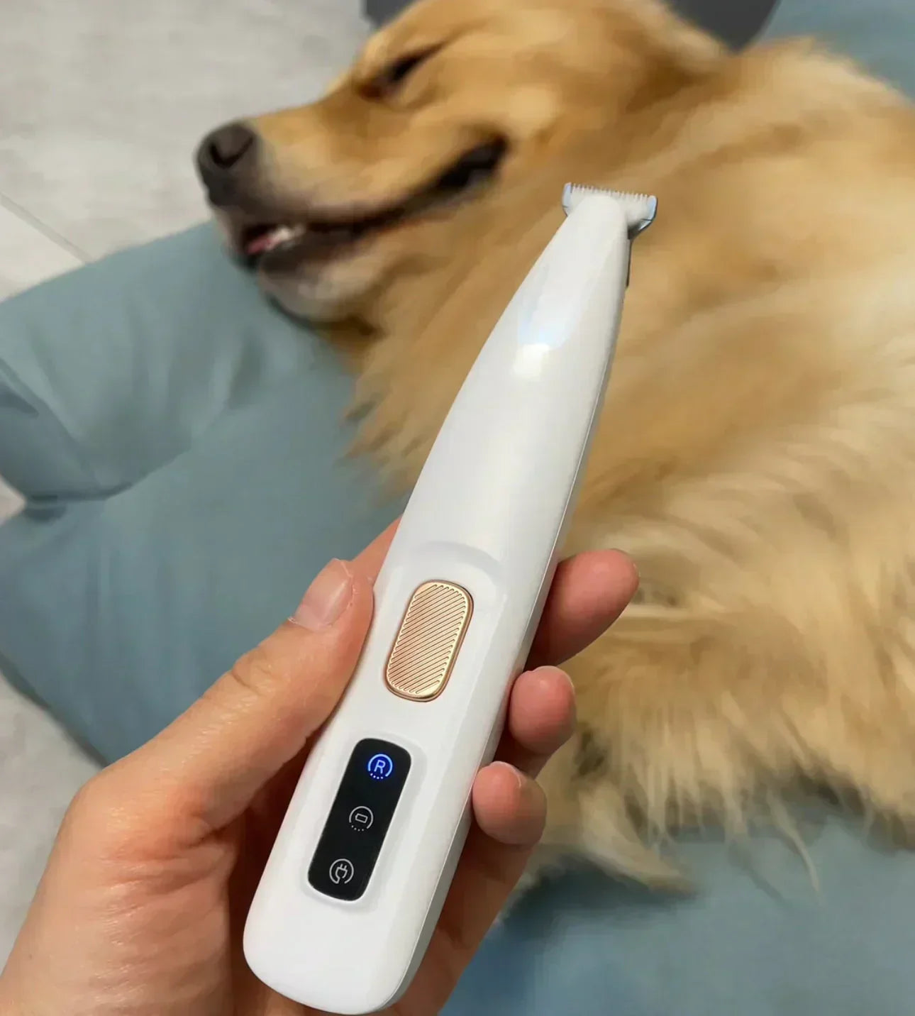 Decorative Precision Pet Trimmer – Safe Grooming for Paws, Eyes &