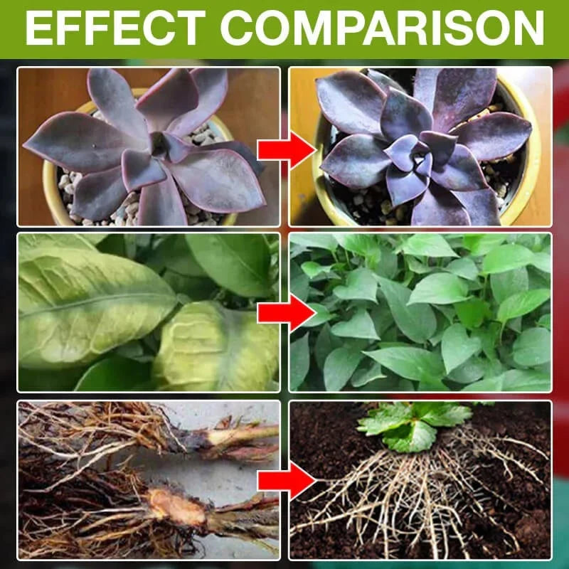 Purpose-Built Plant Growth Support Supplement for Everyday Use
