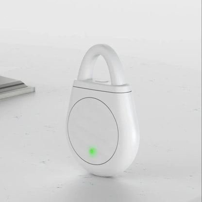 Ultrasonic Keychain Repellent for Birds and Other Pests
