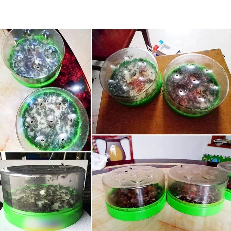 Purpose-Built Reusable Non-Electric Fly Trap for Everyday Use