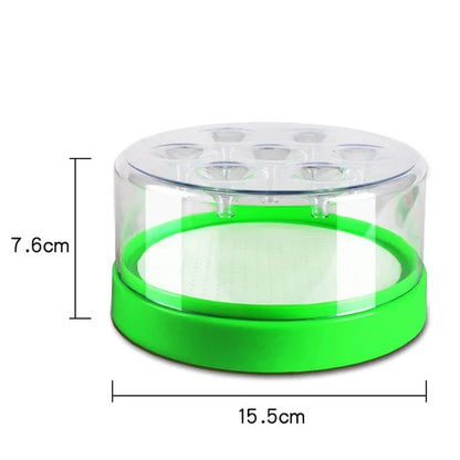 Purpose-Built Reusable Non-Electric Fly Trap for Everyday Use