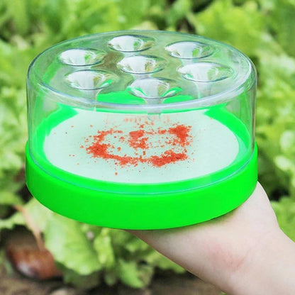 Purpose-Built Reusable Non-Electric Fly Trap for Everyday Use