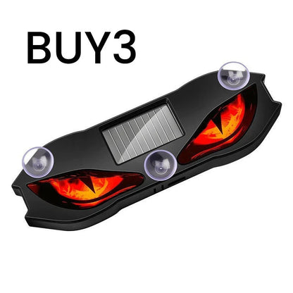 Outdoor Solar-powered, weatherproof, automatic activation at dark