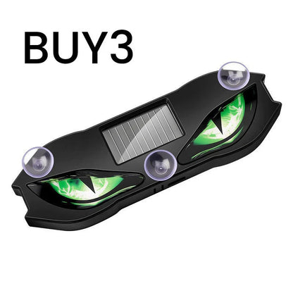Outdoor Solar-powered, weatherproof, automatic activation at dark