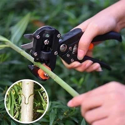 Precision Plant Grafting & Pruning Tool