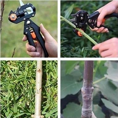 Precision Plant Grafting & Pruning Tool