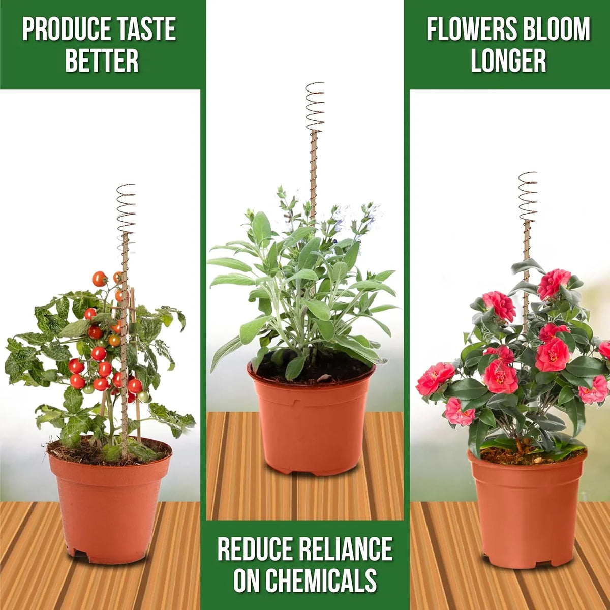 Outdoor Electroculture Plant Stakes 8 Pack – Enhance Plant Growth