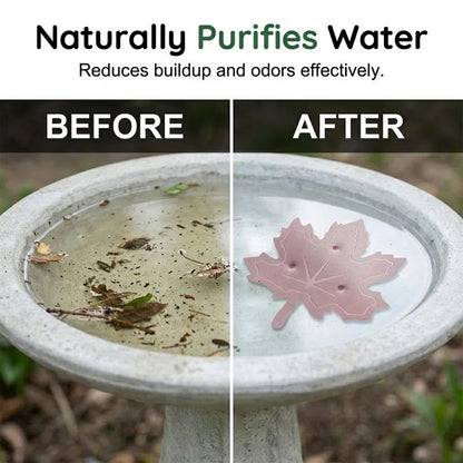 Outdoor Time- Universal Fit Bird Bath Purifier for Garden Display