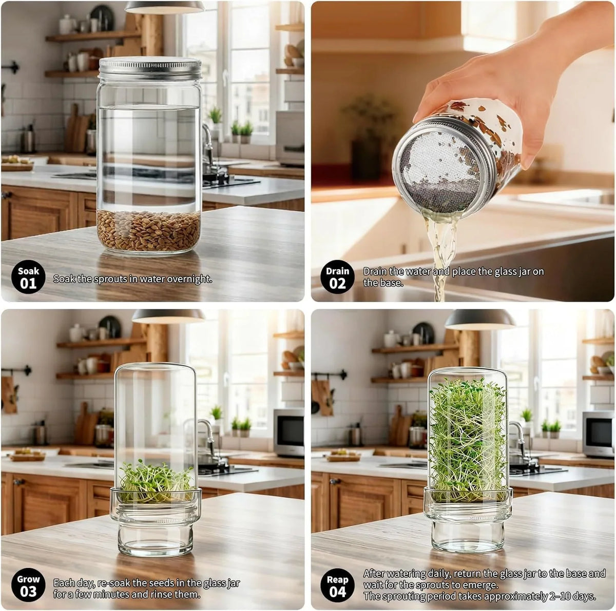 Wide-Mouth Mason Jar Set for Growing Fresh Sprouts at Home