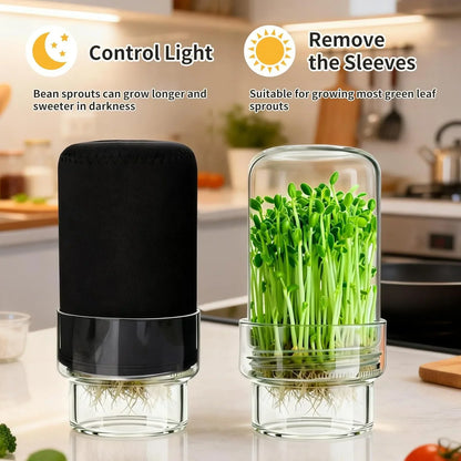 Wide-Mouth Mason Jar Set for Growing Fresh Sprouts at Home