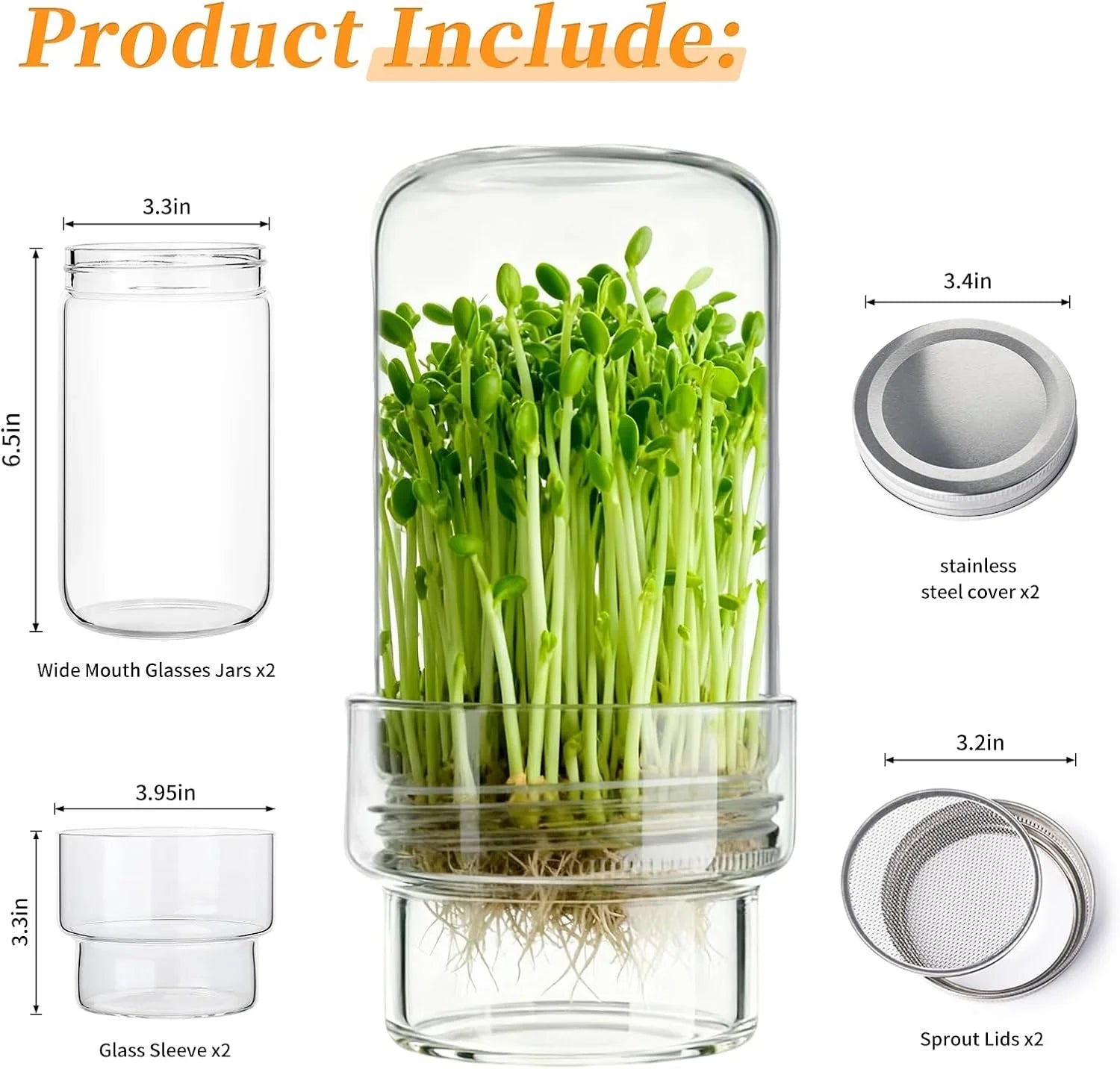 Wide-Mouth Mason Jar Set for Growing Fresh Sprouts at Home