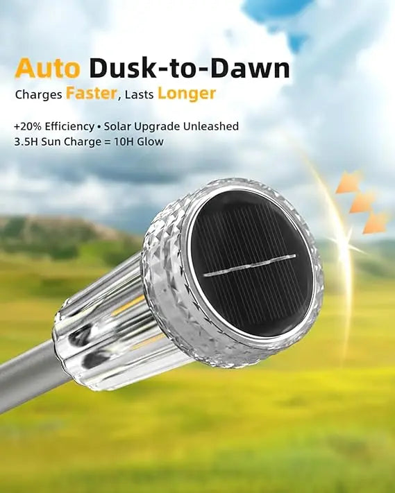 Outdoor Solar Pathway Lights with 360° Starburst Glow