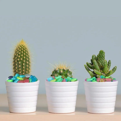 Non-Toxic Multicolor Glow-in-the-Dark Garden and Aquarium Stones