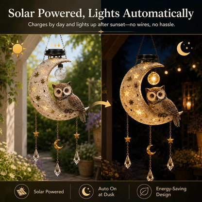 Outdoor Solar Owl Moon Garden Light for Garden Display