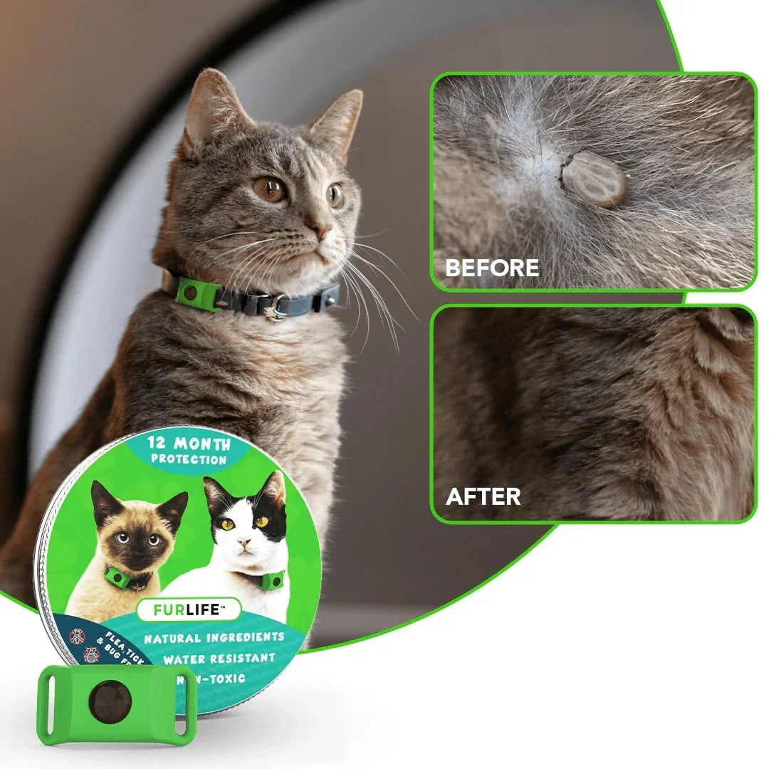 Purpose-Built 12 Months Flea and Tick for Everyday Use