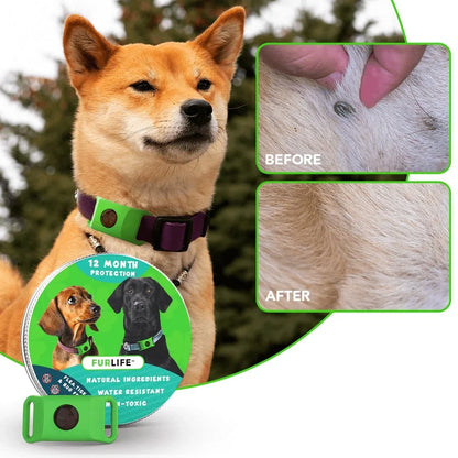 Purpose-Built 12 Months Flea and Tick for Everyday Use