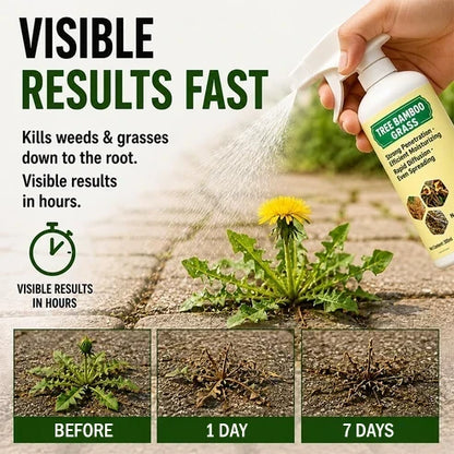 Natural Weed and Grass Control Spray for Outdoor Use
